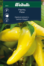 Frö Paprika 'Lemon Dream' Weibulls